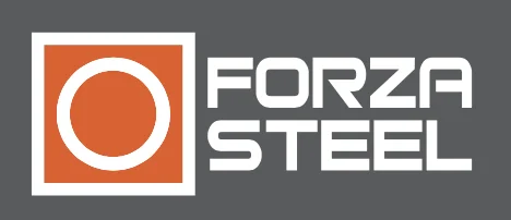 Logo Forza Steel